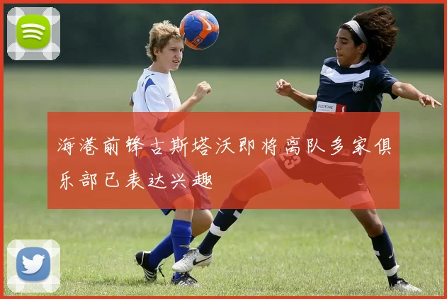 海港前锋古斯塔沃即将离队多家俱乐部已表达兴趣